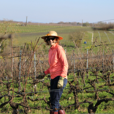 After pruning, shoots removal